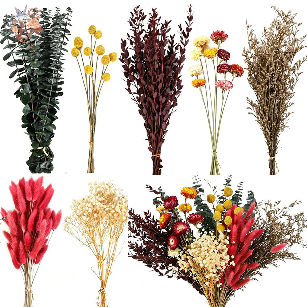 Dried Flower Bulk - ドライフラワーの詰め合わせセット。7種類の天然ユーカリの葉を使用。カラフルな花束で、結婚式や花屋さんの仕入れ、リビングの装飾に最適。
