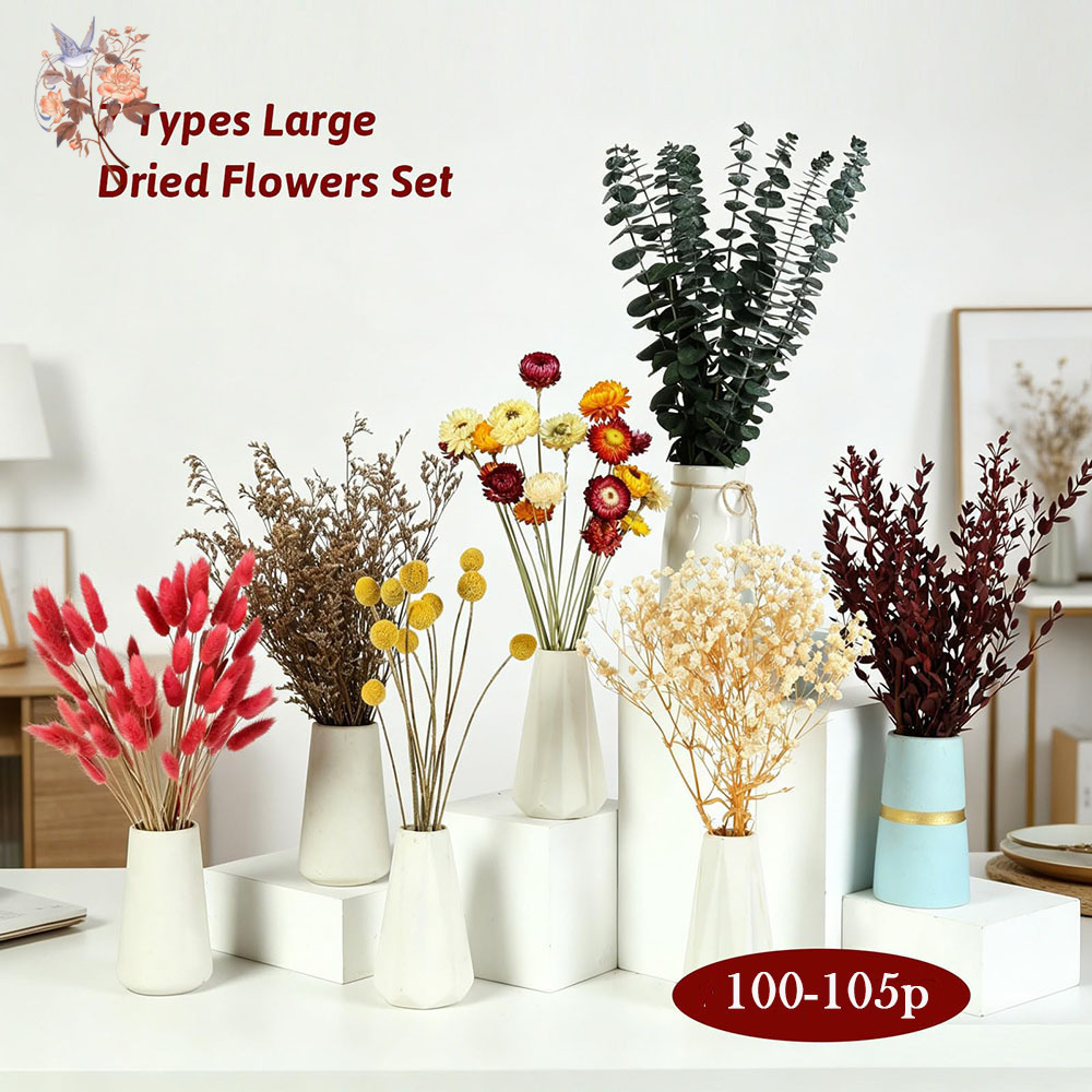 ドライフラワーの詰め合わせセット。7種類の天然ユーカリの葉を - Dried Flower Bulk のレビューと価格