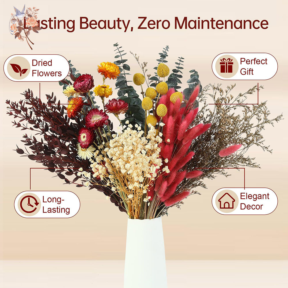 ドライフラワーの詰め合わせセット。7種類の天然ユーカリの葉を - Dried Flower Bulk のレビューと価格