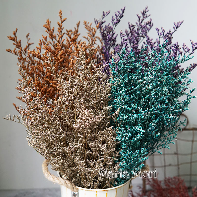 70g/プリザーブドバレンタイングラス リモニアフラワー ラ - Dried Flower Bulk のレビューと価格